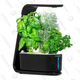 AeroGarden Sprout | $70 | Best Buy